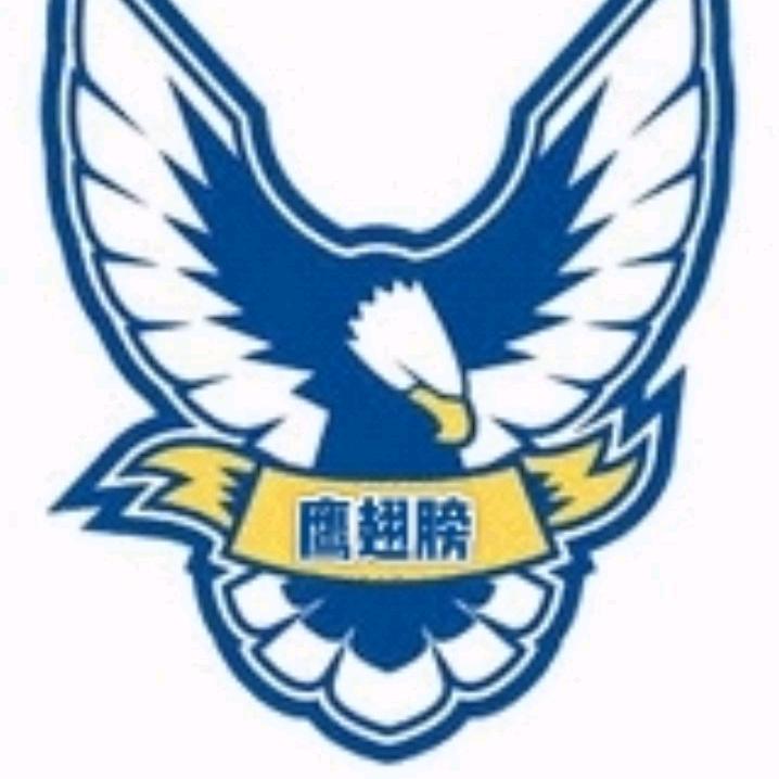 鹰翅膀航模
