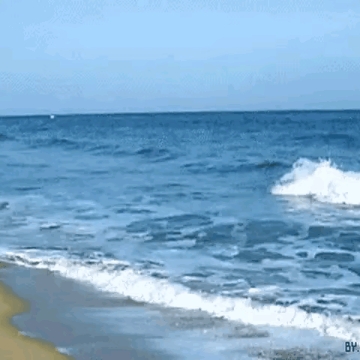 沧海一粟172978748