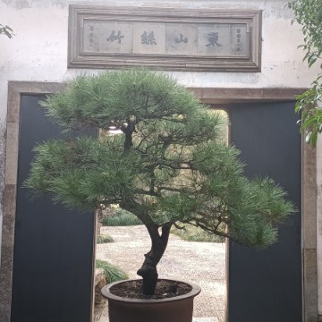 袁浦润泽