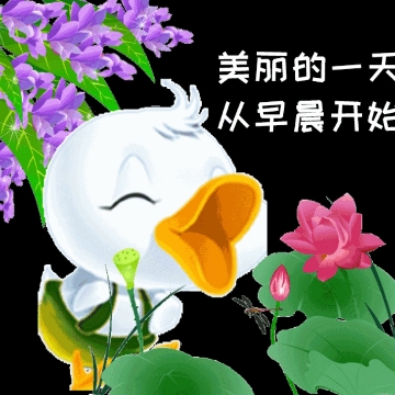 环小辰爱体育7