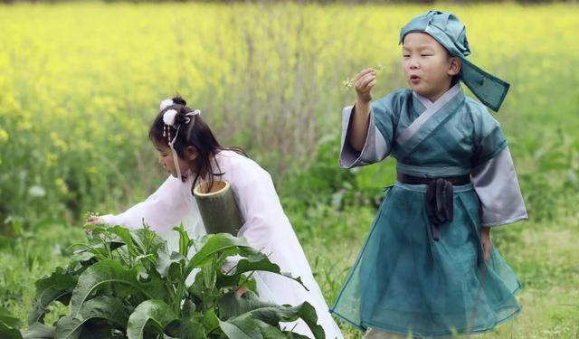 青梅竹马出自哪个典故，青梅竹马取自哪个典故（你知道是哪一种植物果实吗）