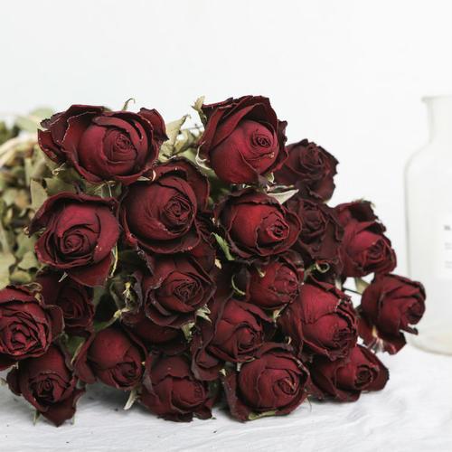 玫瑰花怎么保存时间长，玫瑰花怎么养才不会枯萎（保存时间久爱意更浓烈）