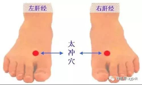 任脉的准确位置图，任脉督脉的准确位置图（常按这几个穴位）