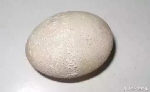 死胎蛋照射的图片，鸭蛋怎么孵化需要准备什么（浙江一母鸡竟生下这样的蛋……养鸡十几年第一次见）