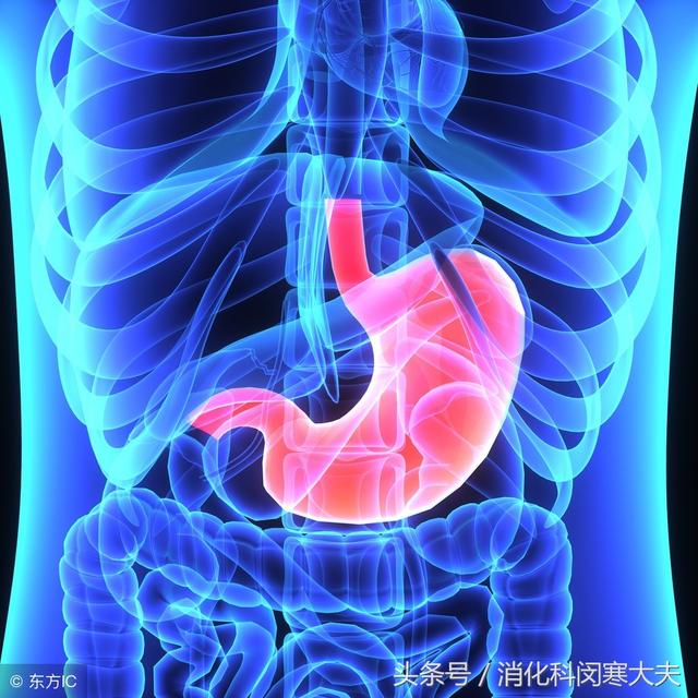 胸口在哪个位置图解，羊胸口骨在哪个位置（心慌还是胃痛，我的心在哪里）