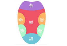 上颚在哪里，一篇文章让你认识你五脏开窍在哪儿