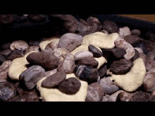 石头饼是哪里的特产，这个城市在抖音上很火2500年前就是网红