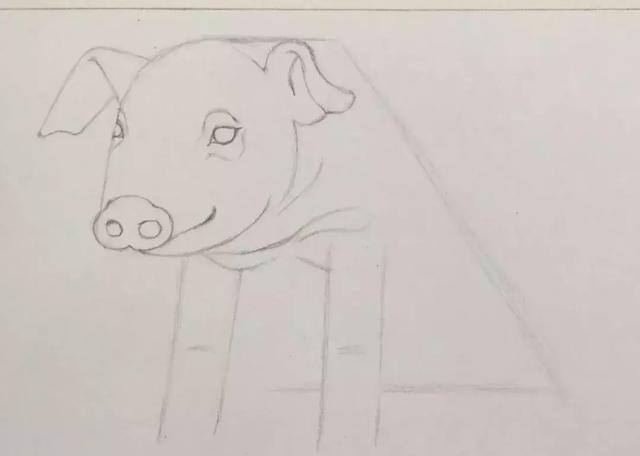 猪头简笔画怎么画，让我们一起学一下小猪简笔画吧