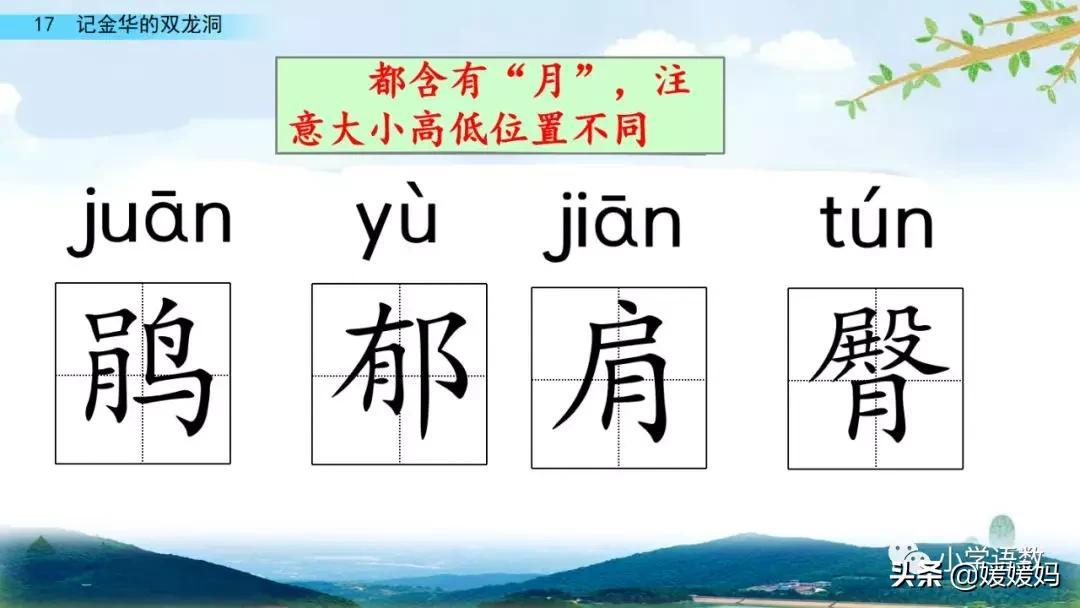 着的组词(四年级下册语文第17课《记金华的双龙洞》图文详解及同步