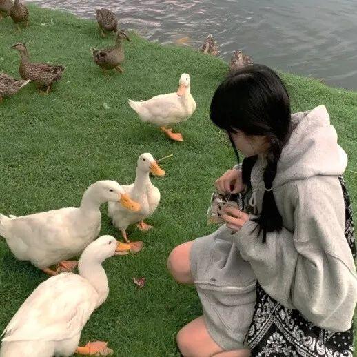 动漫女生头像   今天天气很好适合打打闹闹微信，动漫女生头像   今天天气很好适合打打闹闹，更适合亲亲抱抱（女生：可以获得漂亮并且温柔）