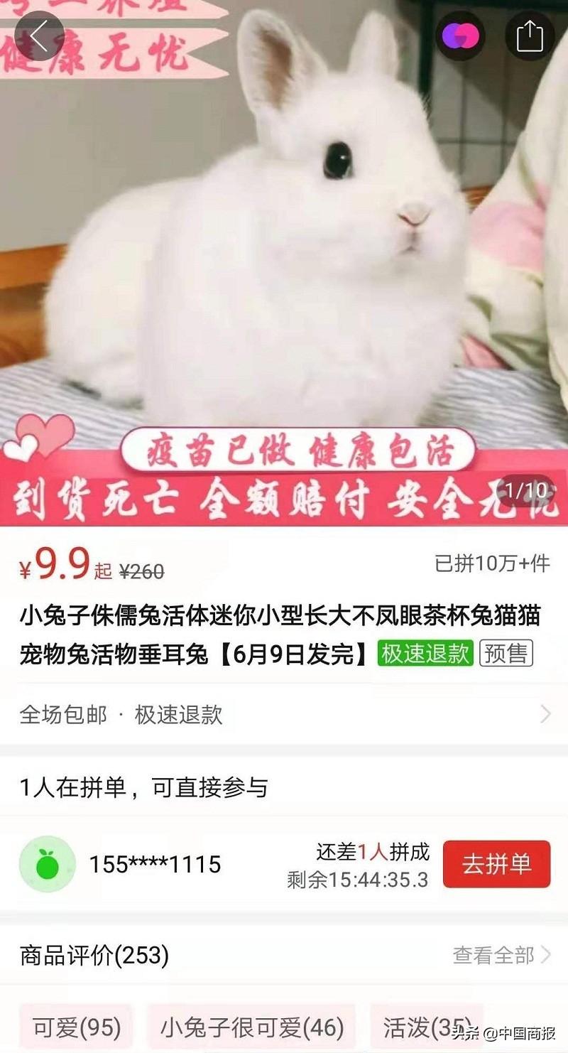 月销上万、包邮依旧 辟谣宠物可以快递寄吗