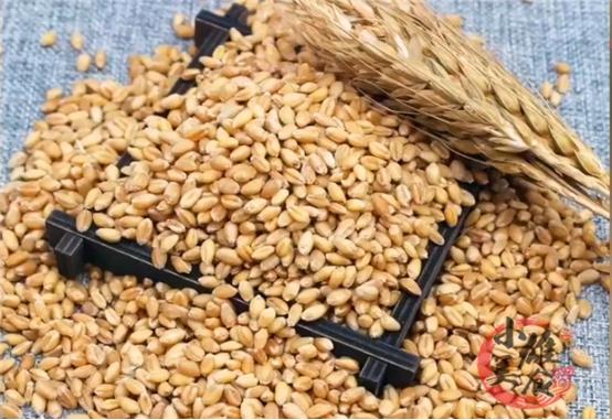 高筋面和低筋面的区别是什么，普通面粉是属于高筋还是低筋（这才是​高筋面粉、中筋面粉、低筋面粉的区别和用途）