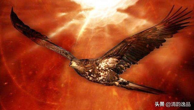 白兔赤乌是什么意思(四海八荒十二大神兽,你了解几个?