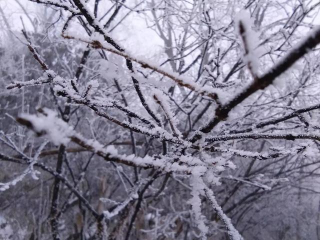 西岭雪山在哪里，西岭雪山在哪里（高山滑雪——西岭雪山）