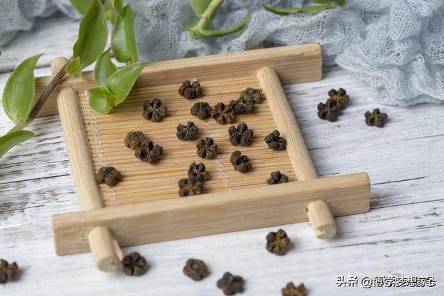 遍插茱萸少一人的遍是什么意思，遍插茱萸少一人的解释（又到九九重阳日）
