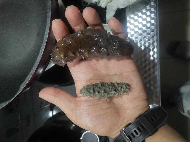 海参干如何发（干海参泡发教程）