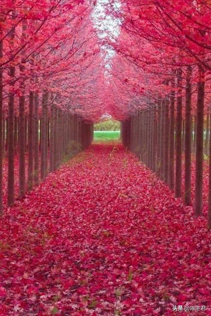 内蒙古人所说的风季是哪个季节，蒙古人的风季是什么季节（中国历史地理常识大全）