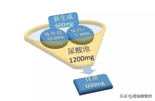 高尿酸痛风能吃木耳，尿酸高痛风的人能不能吃黑木耳和洋葱