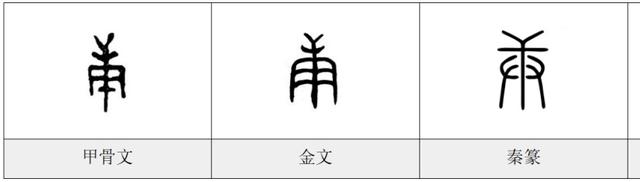 丁日是什么意思，丁亥日最忌什么（发现汉字之美——庚）