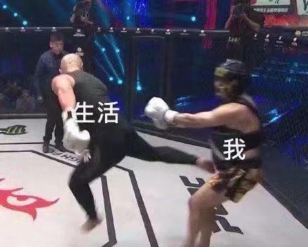 吸猫伐是什么意思，什么叫吸猫（禽兽们搞起比利来有多“骚”）