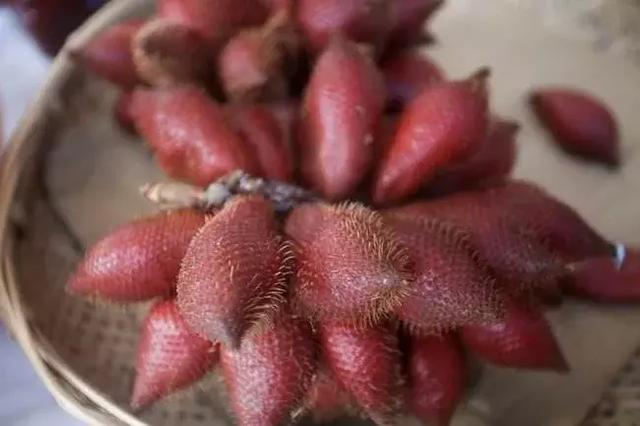 蛇皮果的营养价值，这种水果不一般（蛇皮果的药用价值）