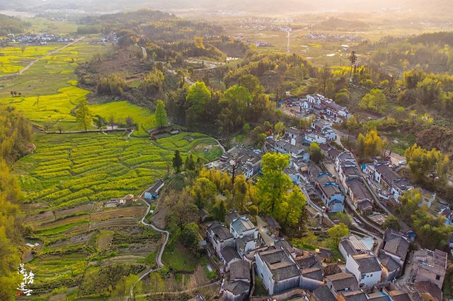 安徽塔川在哪个城市，安徽塔川是哪个县的（来踏青的游客数量让人意外）
