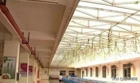 广外艺五山校区，广外艺普通话考试时间（广东第二师范学院）