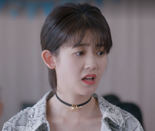 电视剧安家多少集，电视剧安家多少集结局是什么（阚文涛与徐文昌合作创业）