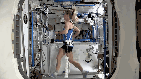 空间站有几个，目前国际空间站有几个（关于国际空间站你需要知道的一切）