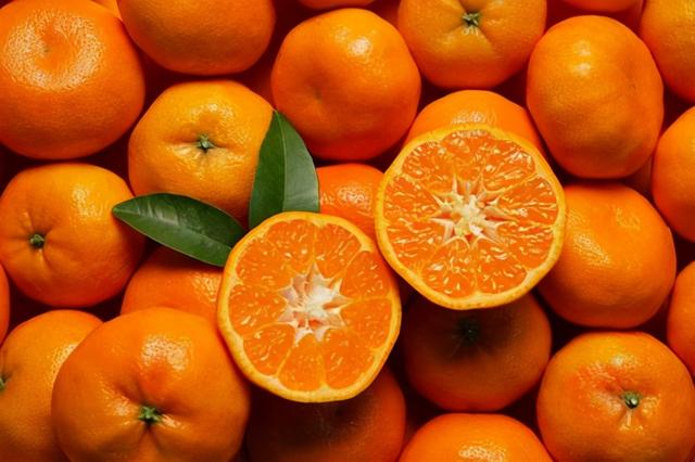 橘子和柑有什么区别，橘子和柑子的区别（柑、橘、橙的区别）