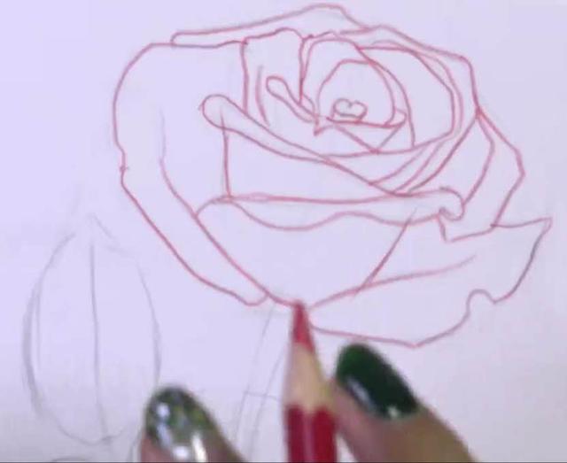 玫瑰花的简笔画，玫瑰花简笔画画法详解（教你掌握3个步骤画出“蔷薇玫瑰”）
