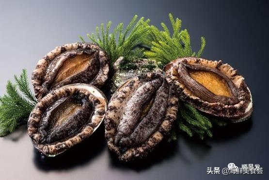 北极贝是什么生物，北极贝是什么生物类群（自然界坚不可摧的生物大家族）