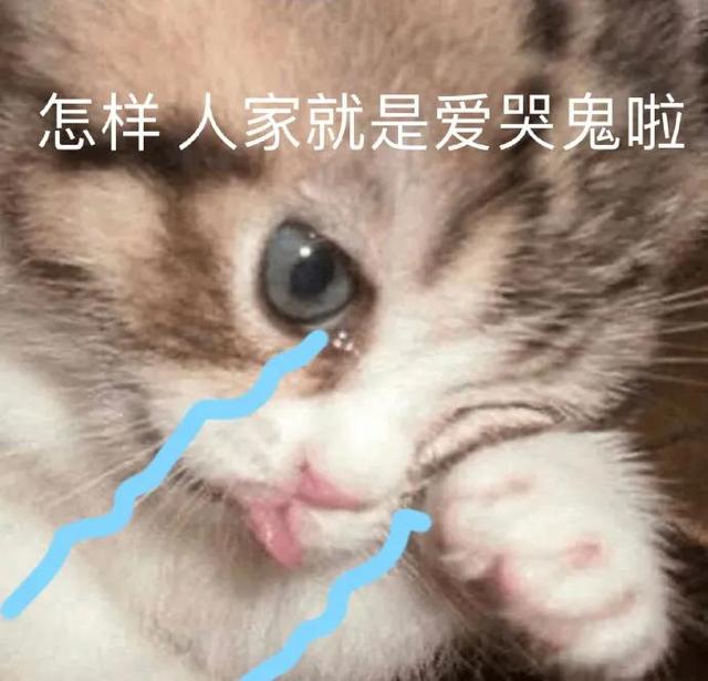foreign是什么意思，原来这些当红明星都是外国语学院毕业的
