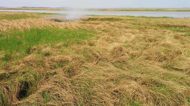 离离原上草全诗，白居易“离离原上草”一诗