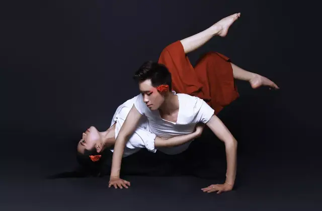 什么是舞蹈鉴赏，什么是舞蹈鉴赏的本质（从手、腿、躯干开始）