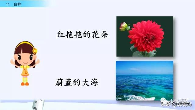 悠扬的近义词，“悠扬”的近义词是什么（四年级下册语文第11课《白桦》图文详解及同步练习）