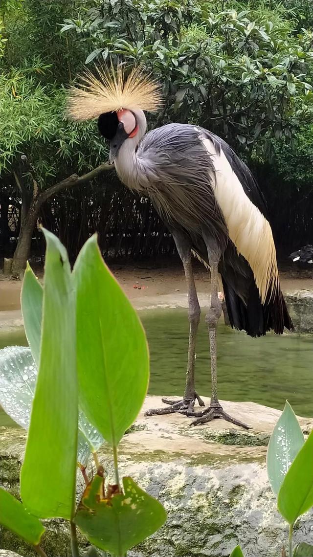 幽闭恐惧症是什么，幽闭恐惧症的病因都有哪些（我，严重的幽闭恐惧症）