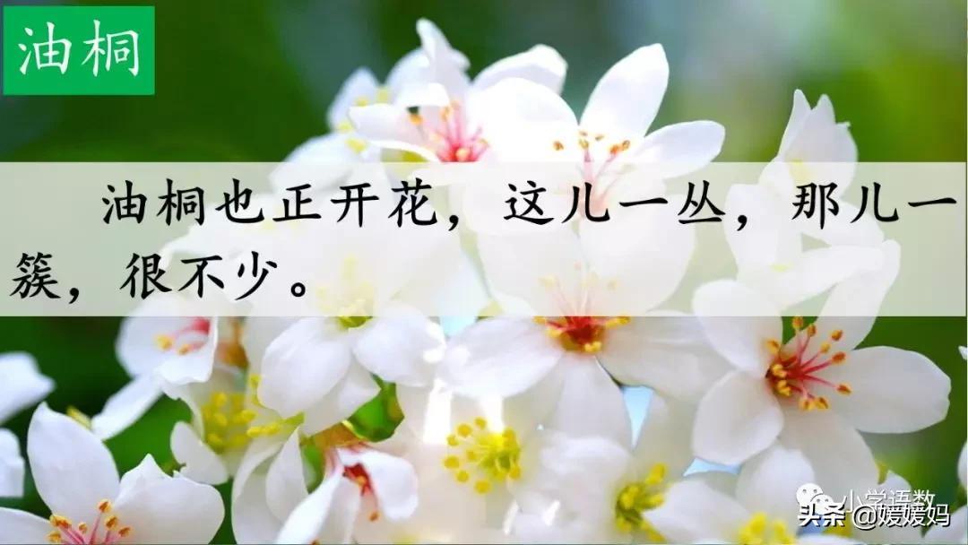 着的组词(四年级下册语文第17课《记金华的双龙洞》图文详解及同步