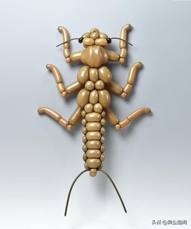 用气球做小动物教程，教你用气球做小狗的方法（日本艺术家用气球制作了令人难以置信的动物模型）