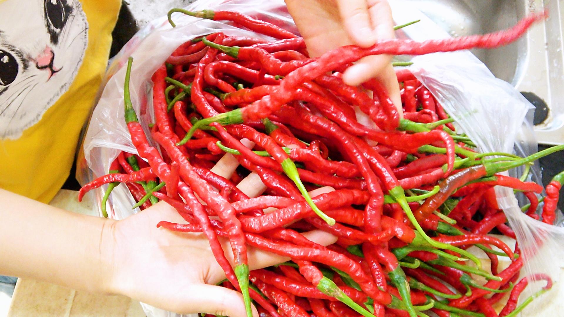 怎样做豆瓣酱好吃(四川豆瓣酱的家常做法,学会这个比例pèi fāng,比