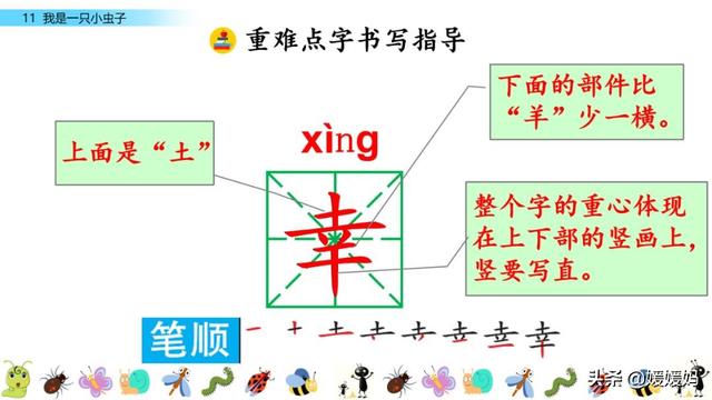 呀组词，呀的多音字组词（二年级下册语文课文11《我是一只小虫子》图文详解及同步练习）