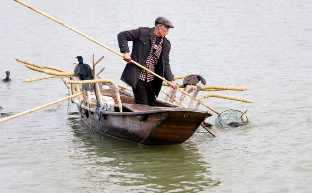 海安俗称铜头的是什么鱼，海铜鱼是什么鱼图片（第九届里下河捕鱼节开幕式）