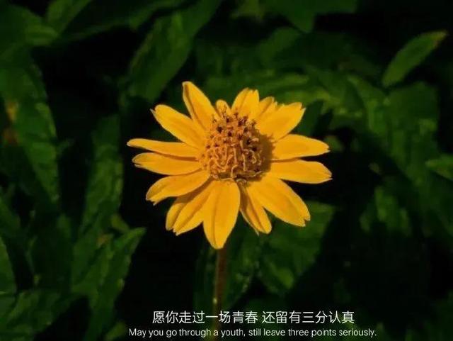 超级好看的唯美图片，超级好看的背景图（一组超好看的朋友圈背景图）