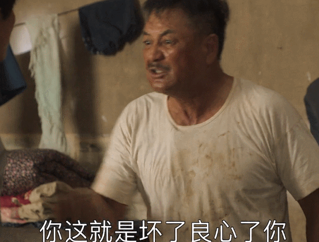 轧戏什么意思（中国观众终于领悟到了方言版电视剧的魅力）