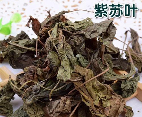 紫苏梗归经及功效(《本草精荟》:行气宽中:紫苏叶