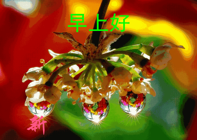 秘书节祝福语，部长祝福语简短（愿你这天好情绪）