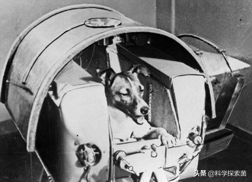 强酸强碱，真能让尸体消失无踪吗，强酸强碱怎么判断（可能成为其它星球的生命起源物质吗）