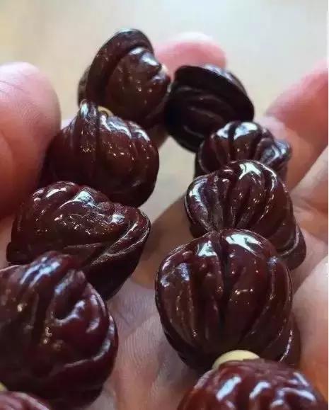 核桃树枝的药用功效与作用,核桃树枝都有哪些成分与功用(许多文玩人见过它却不认识它) 核桃树枝的药用功效与作用,核桃树枝都有哪些成分与功用(许多文玩人见过它却不认识它)