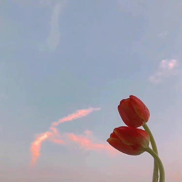 妻子出轨怎么办，发现妻子出轨怎么办（聪明的男人通常这样做）