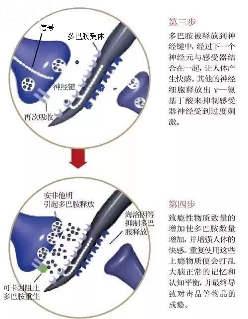 关于禁毒的绘画，关于一些禁毒的绘画作品（看看这位禁毒学子的手绘禁毒漫画）